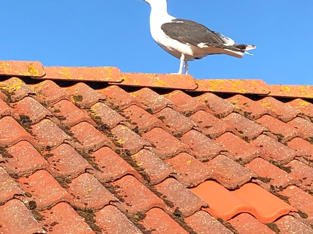 Hotell Käringön主图