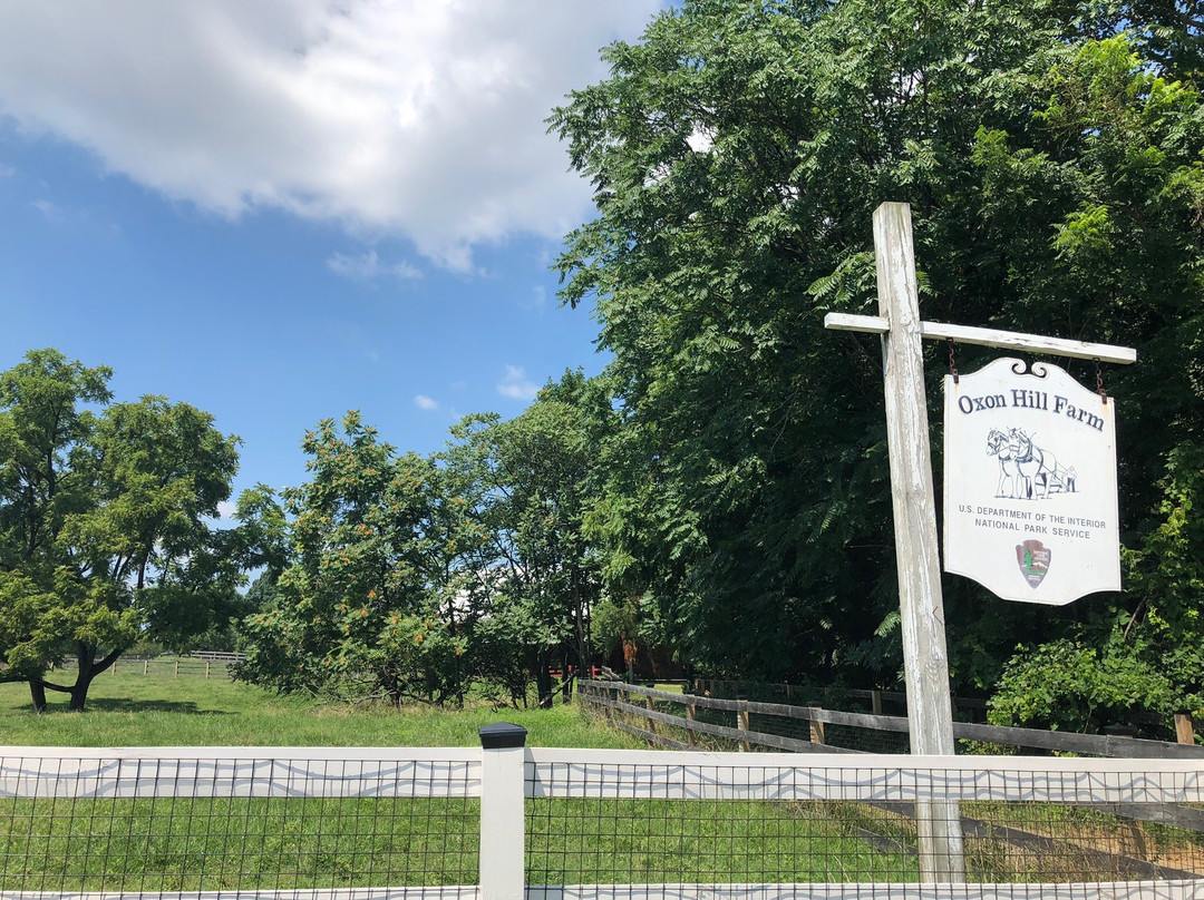Oxon Cove Park & Oxon Hill Farm-奥克森山必去景点