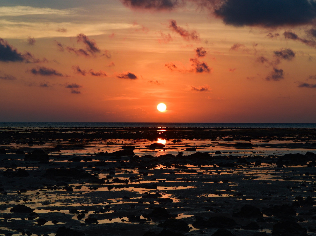 Dolphin Resort主图