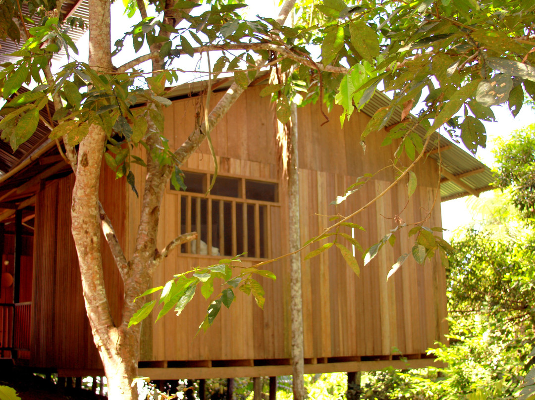 La Ceiba, Amazonas