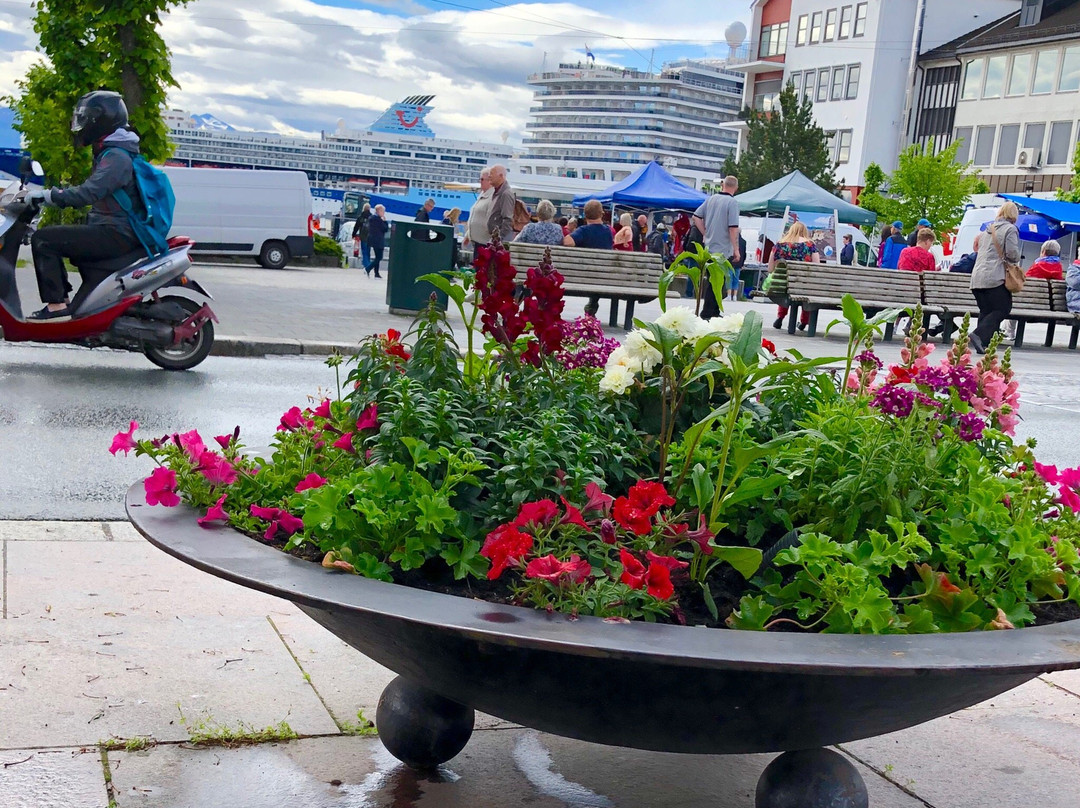 The Rose Maiden Molde Town Hall景点图片