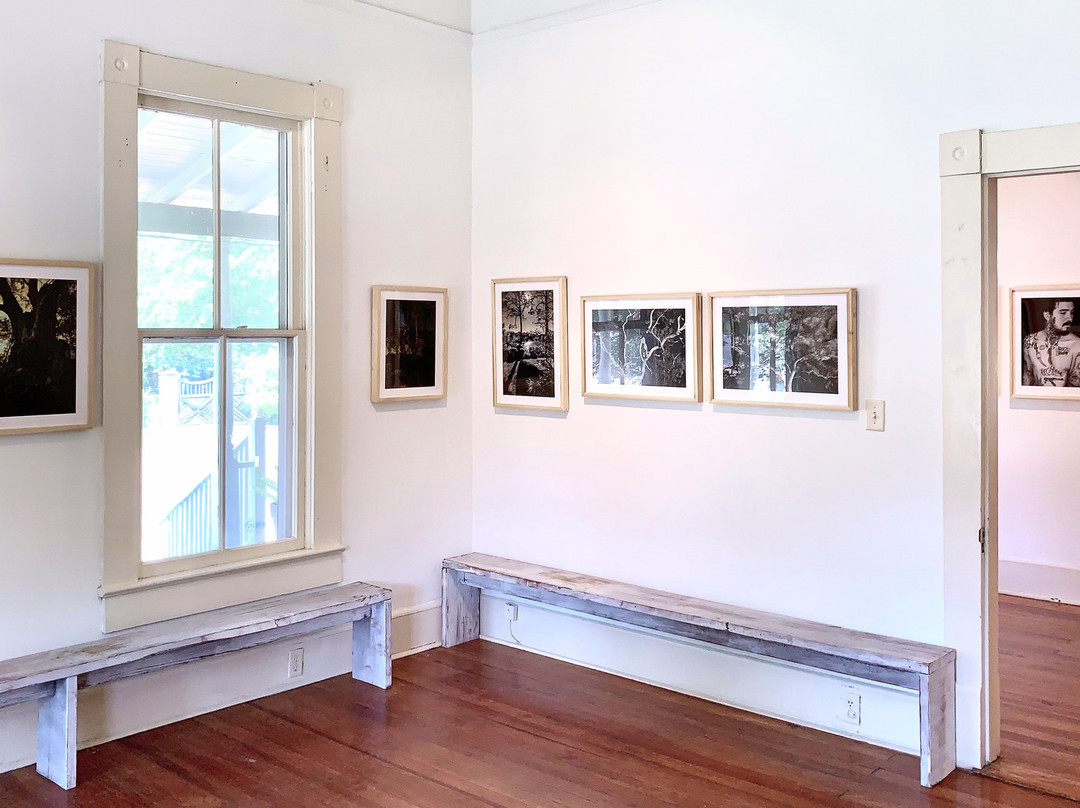 Plough Gallery-蒂夫顿必去景点