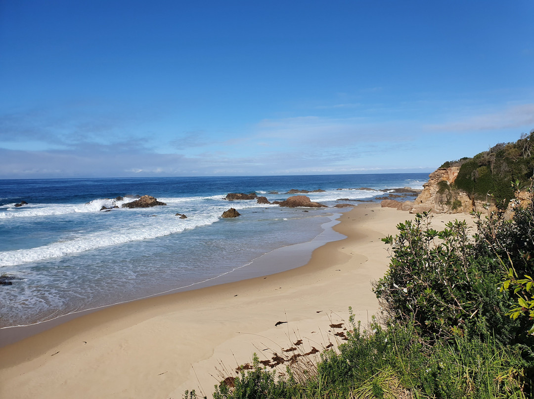 Eurobodalla National Park景点图片