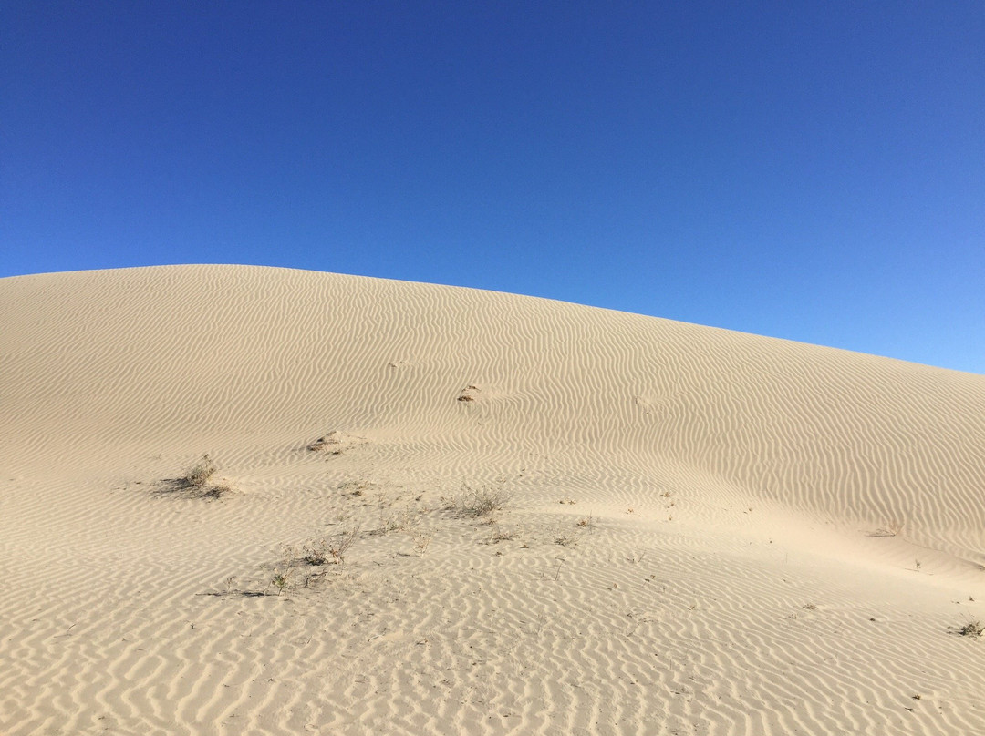 Cerro Blanco-纳斯卡必去景点