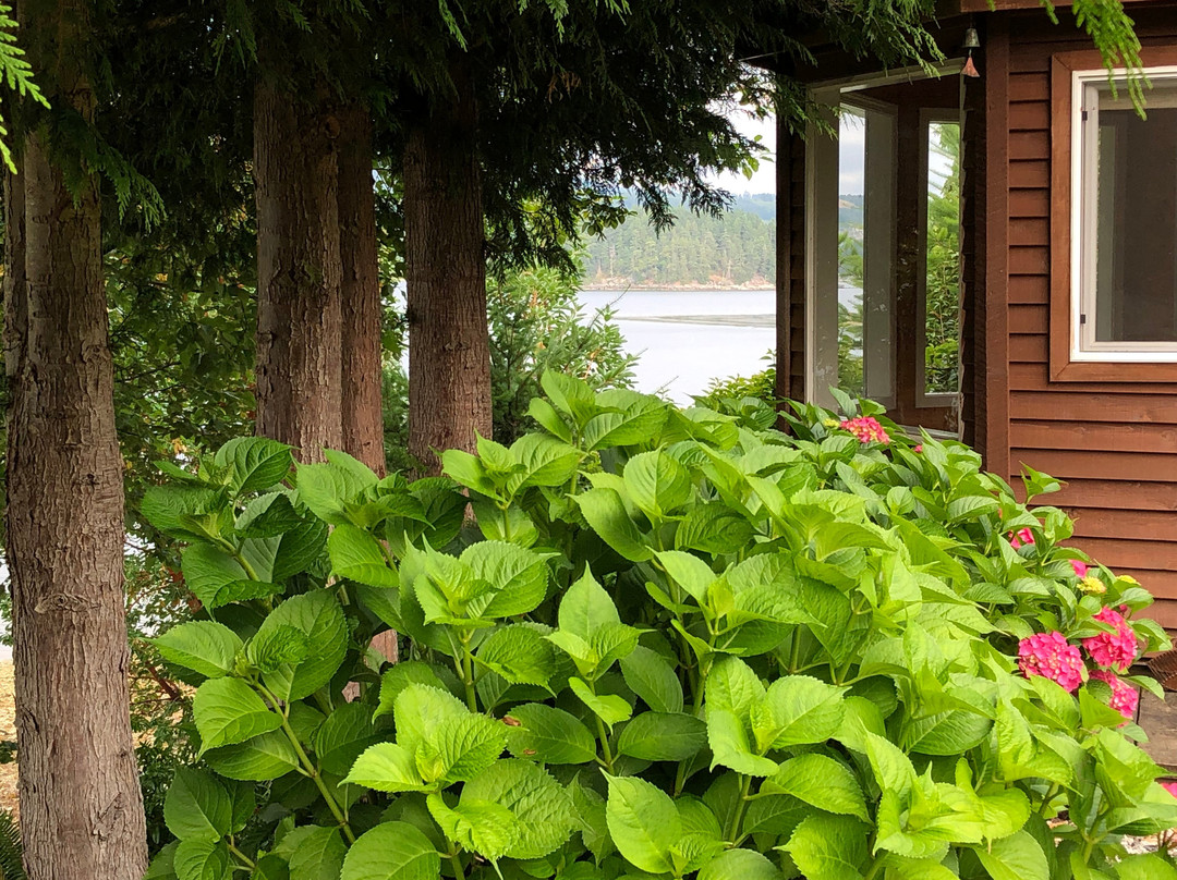 At The Shore B&B主图