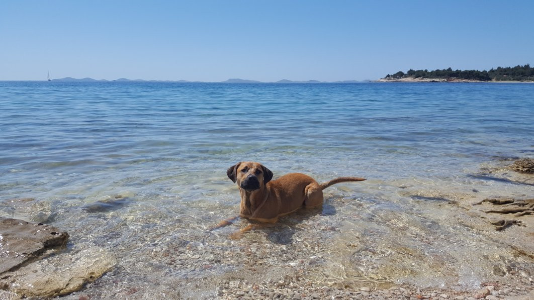 Kosirina Beach景点图片