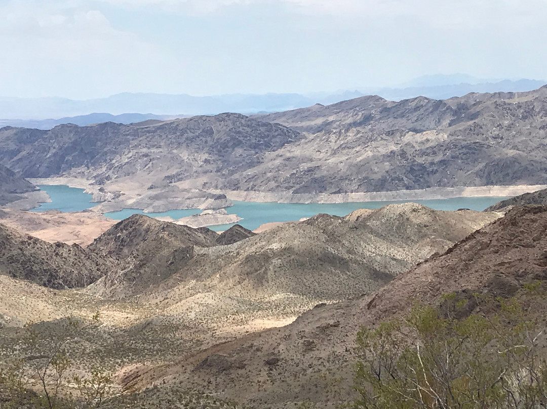 The Boathouse Cafe And Grille