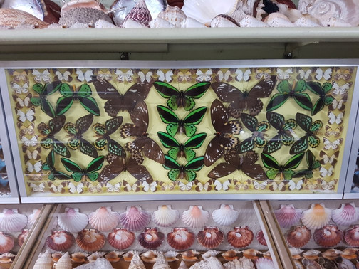 Ayr Nature Display-Ayr必去景点