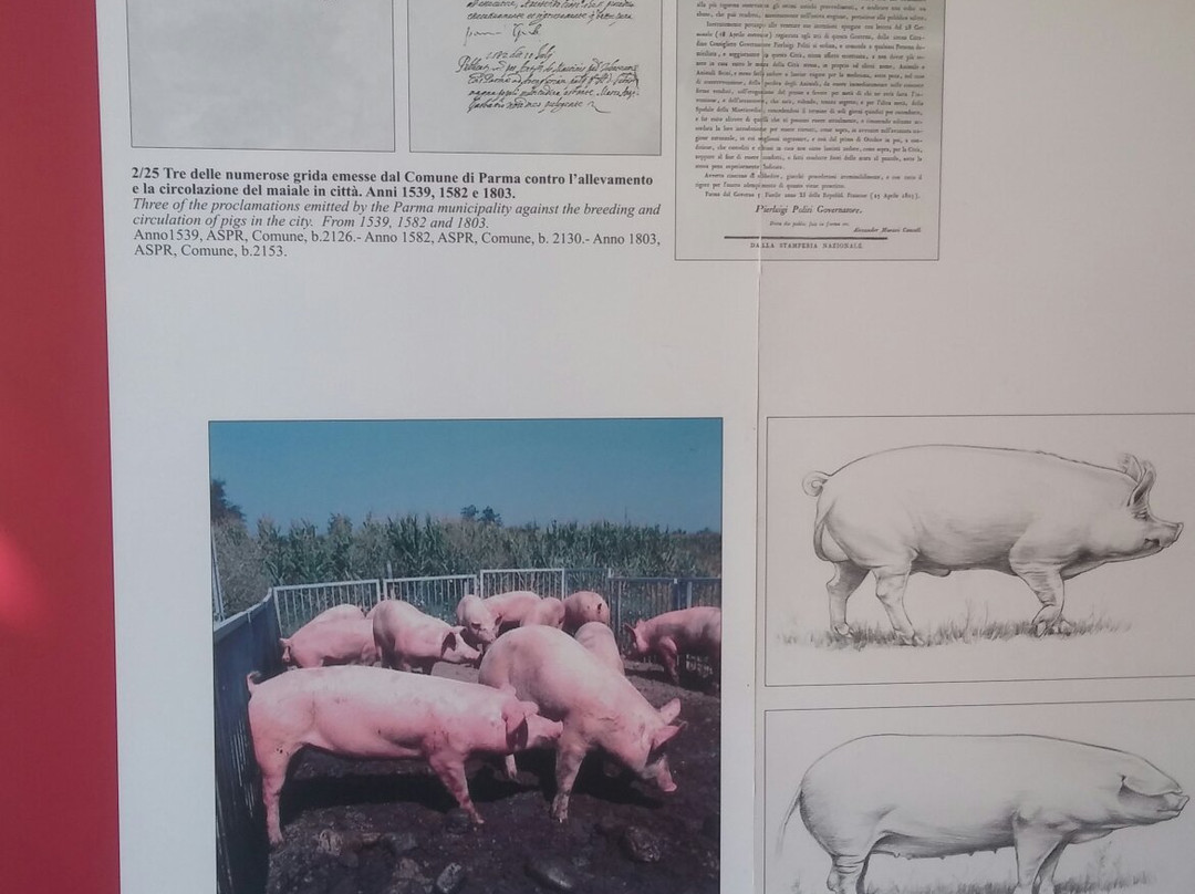 Museo del Prosciutto e dei Salumi景点图片
