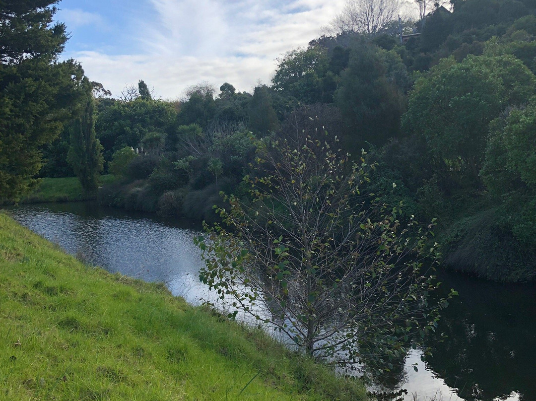 Gulf Harbour Marina-旺阿帕劳阿必去景点