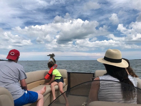 Assateague Tours-钦科蒂格岛必去景点