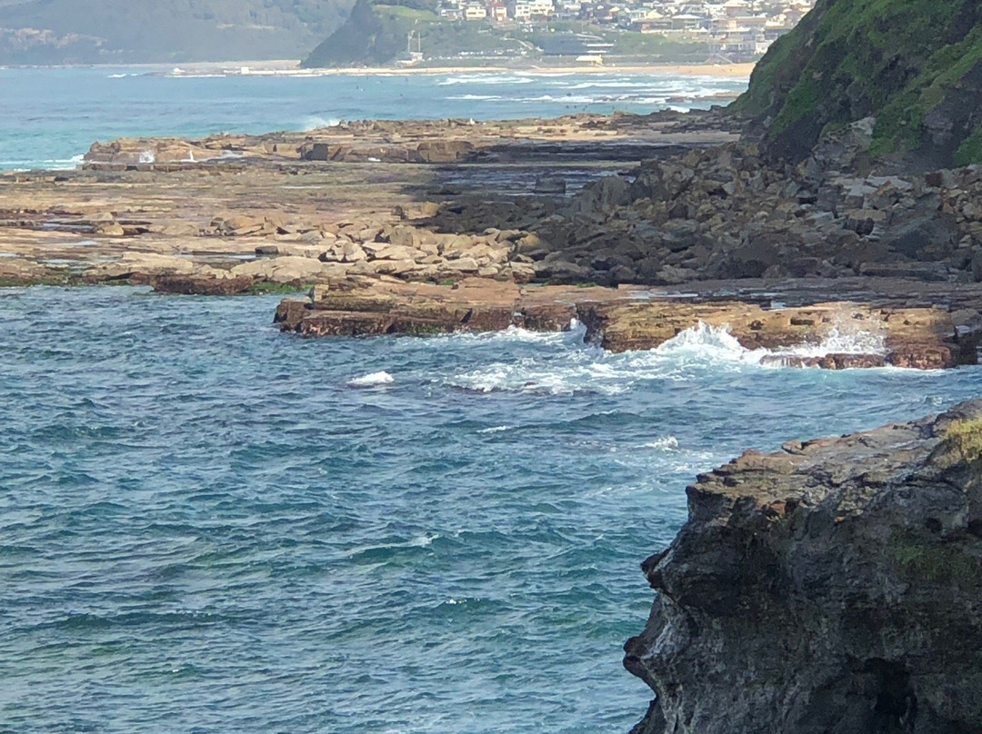 King Edward Park-纽卡斯尔必去景点