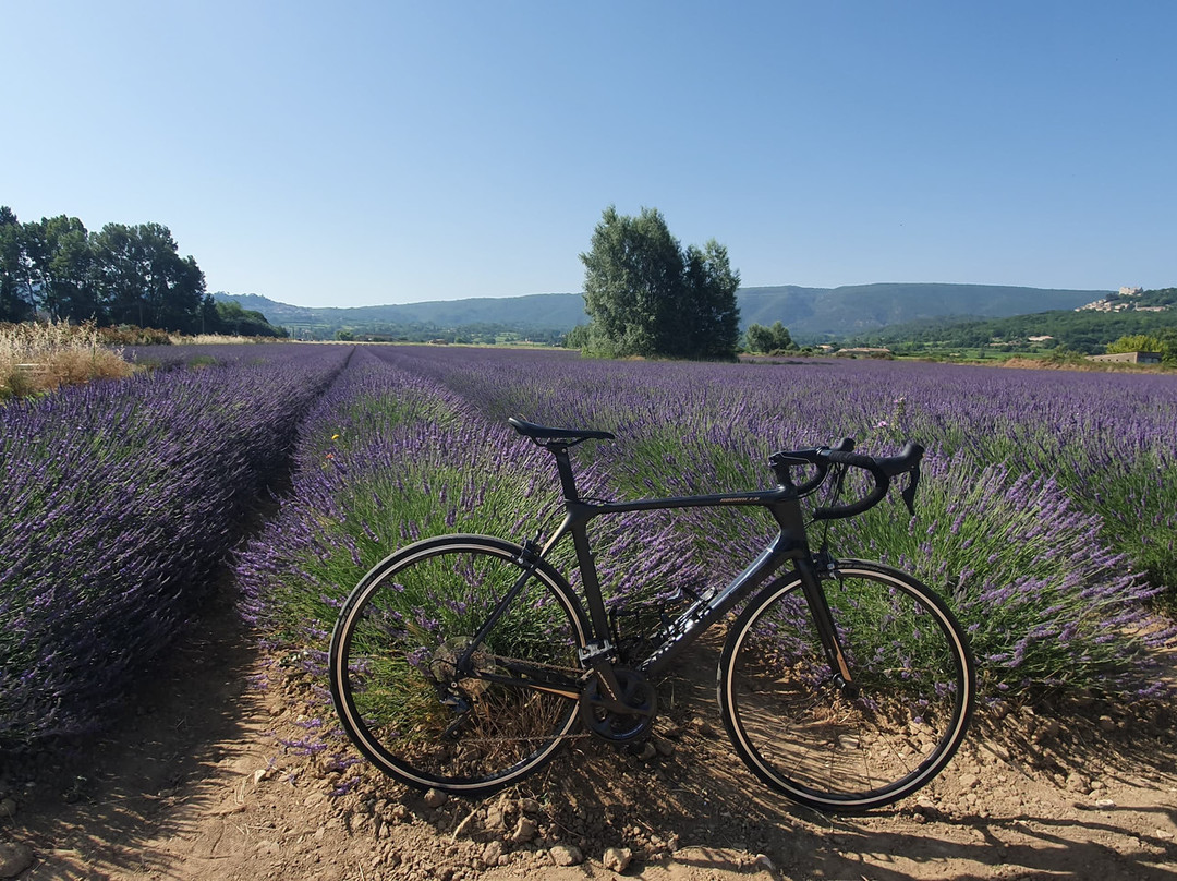 Rent Bike Luberon景点图片