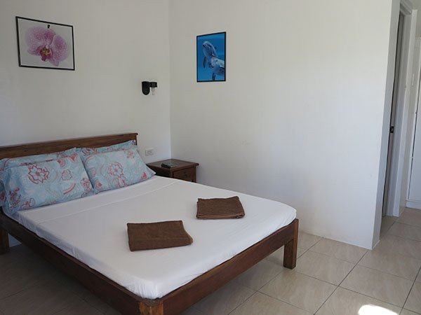 凯尔特人度假村主图