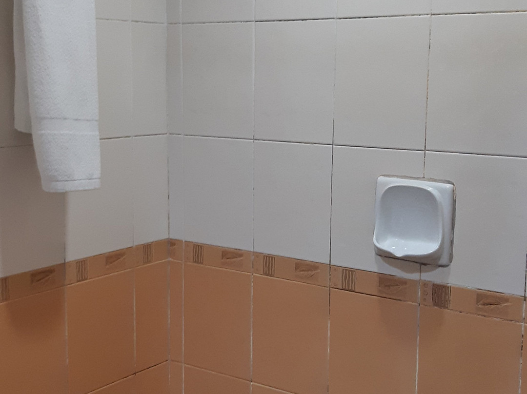 Grand Puteri Hotel主图