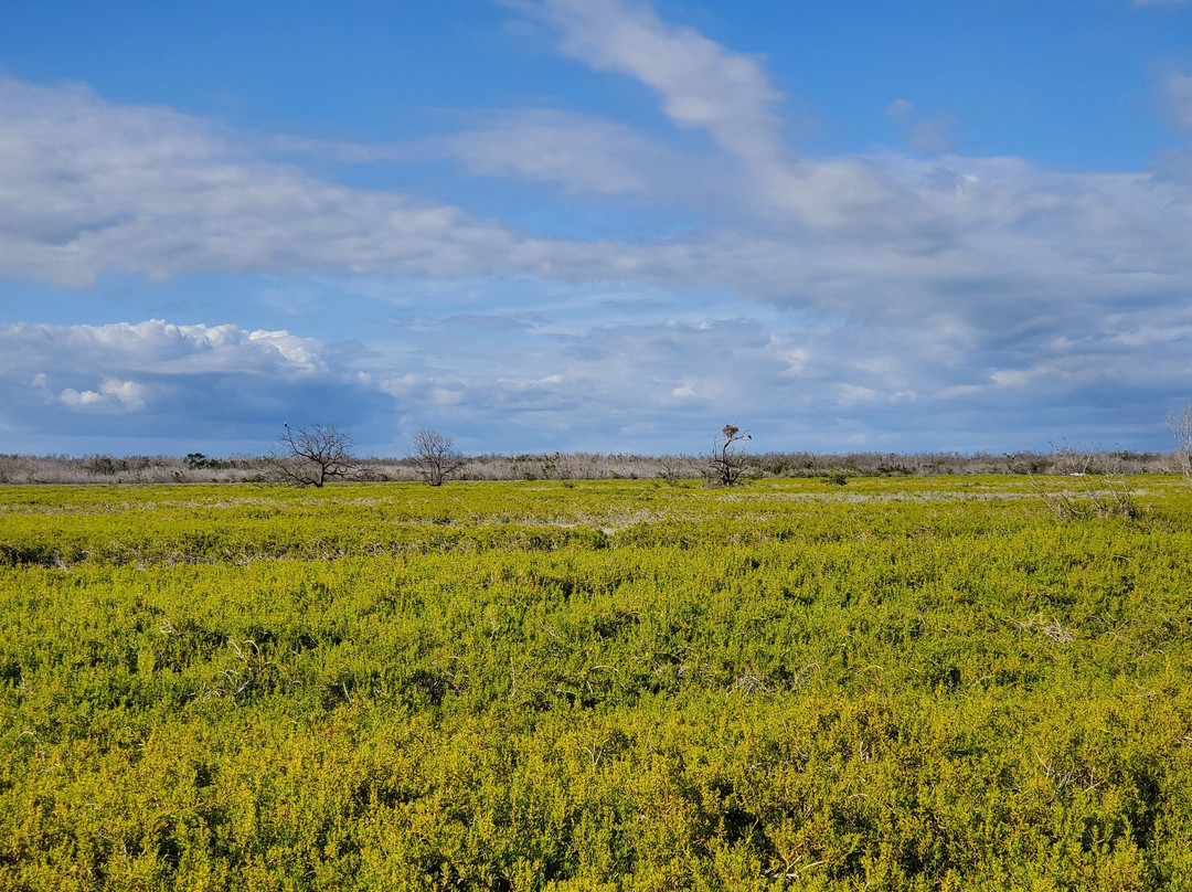 Coastal Prairie Trail-大沼泽国家公园必去景点