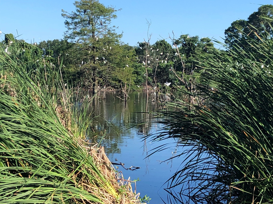 Pinckney Island National Wildlife Refuge-希尔顿头岛必去景点