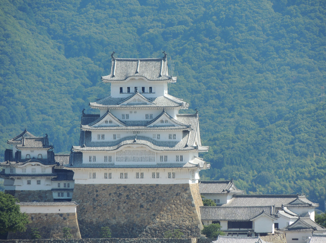 Hotel Monterey Himeji主图