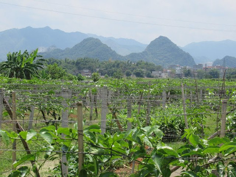 十里画廊-封开县必去景点