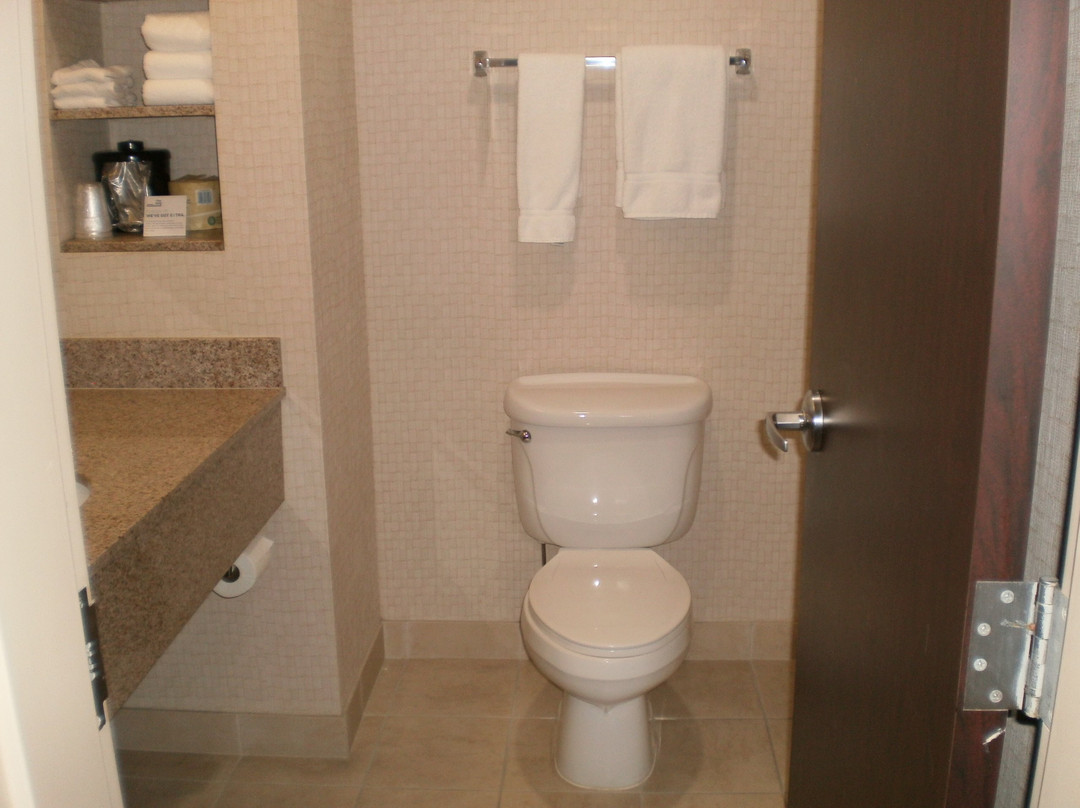 Holiday Inn Express & Suites Twin Falls by IHG主图