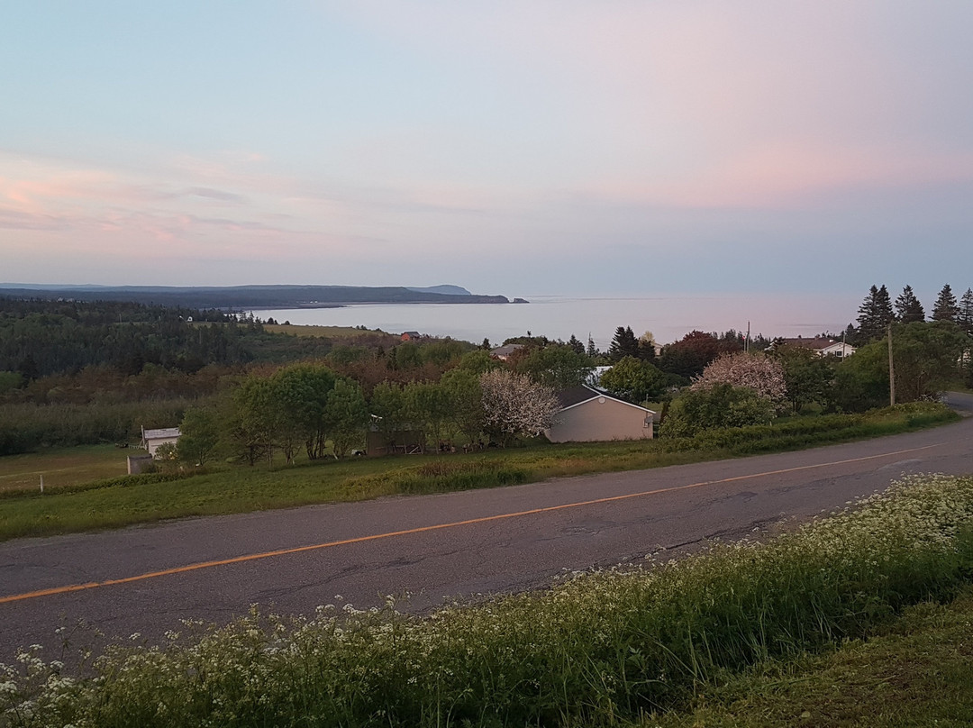 Moore's Specialties主图