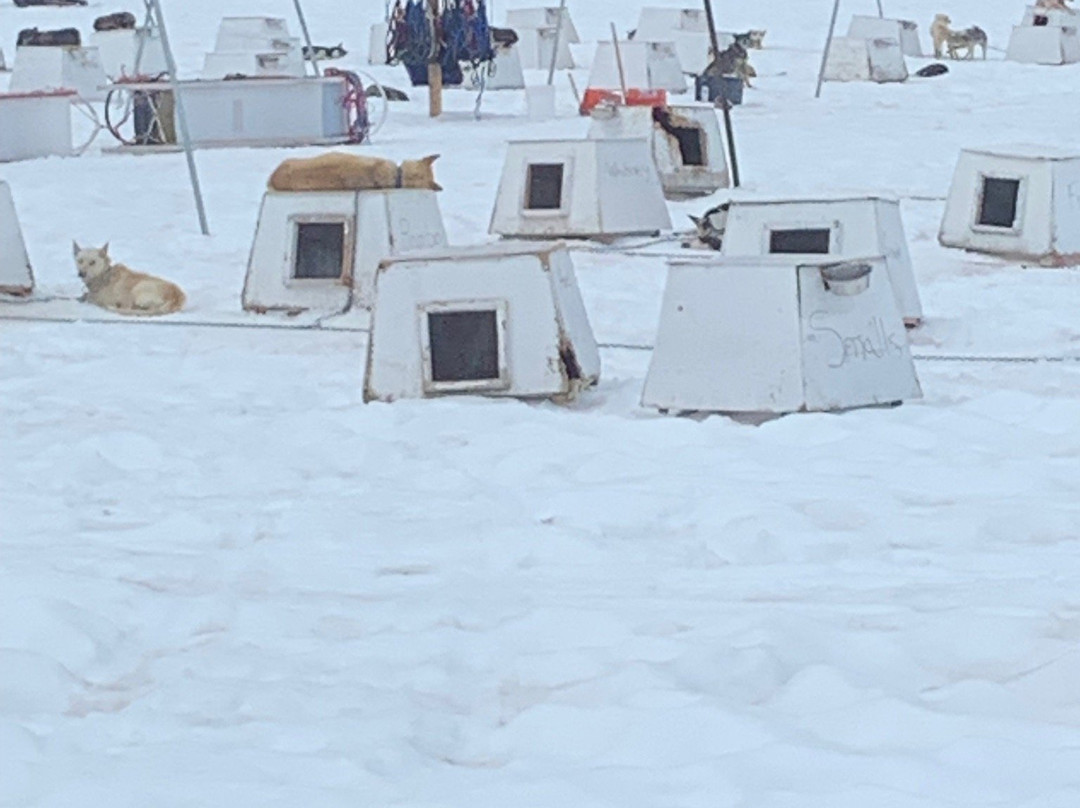 Herbert Glacier-朱诺必去景点