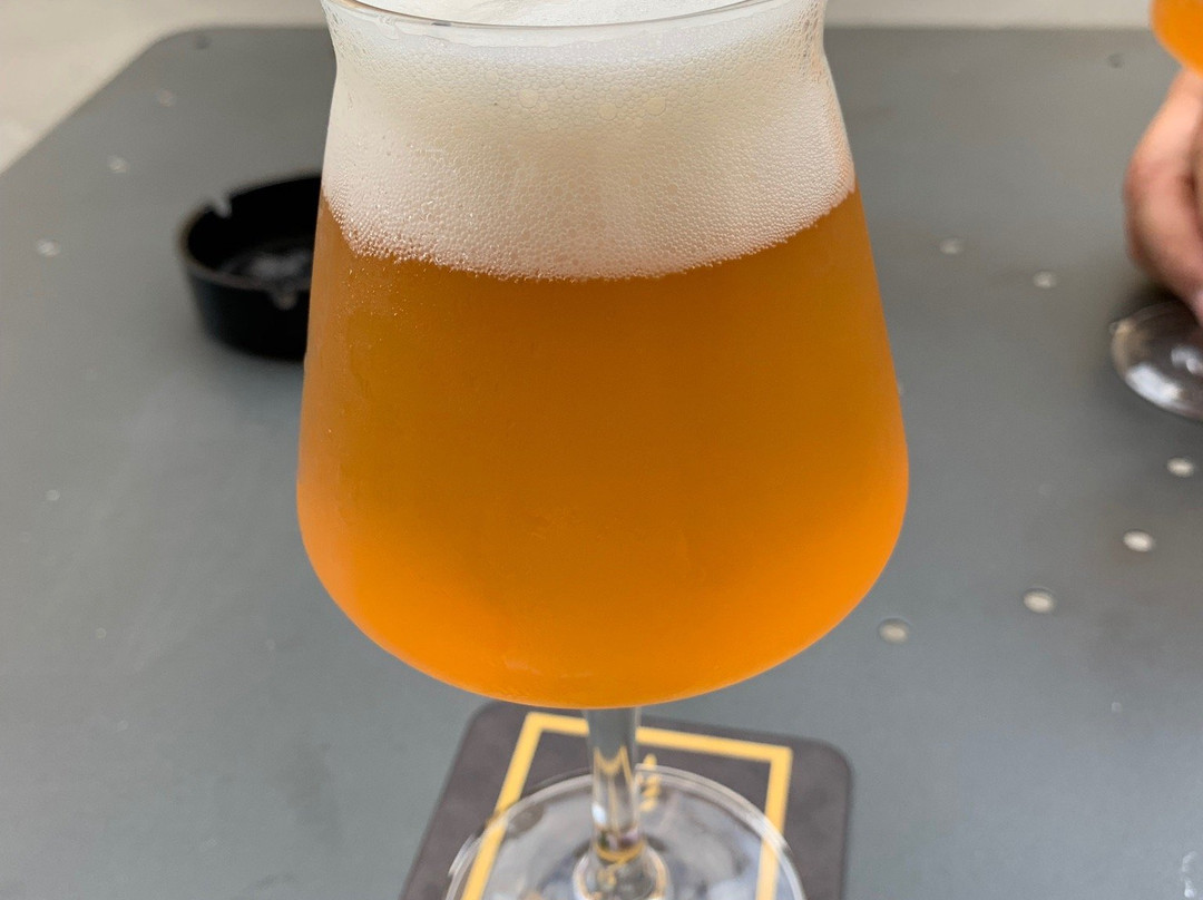 Birrificio S. Quirico-圣奎里科多尔恰必去景点