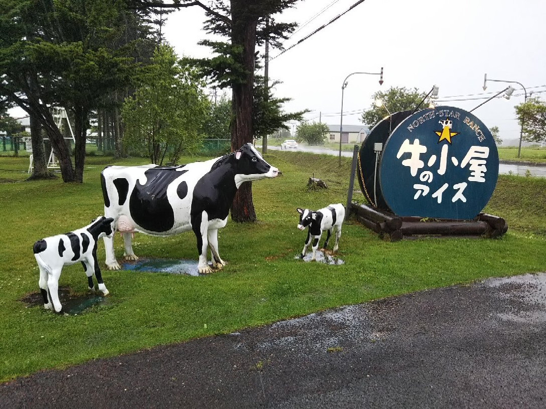 Ushigoya no Ice-由仁町必去景点