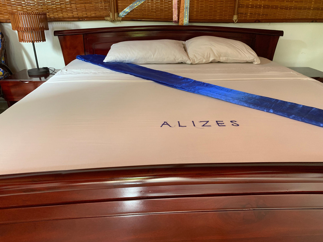 Hotel les Alizes du Lac主图