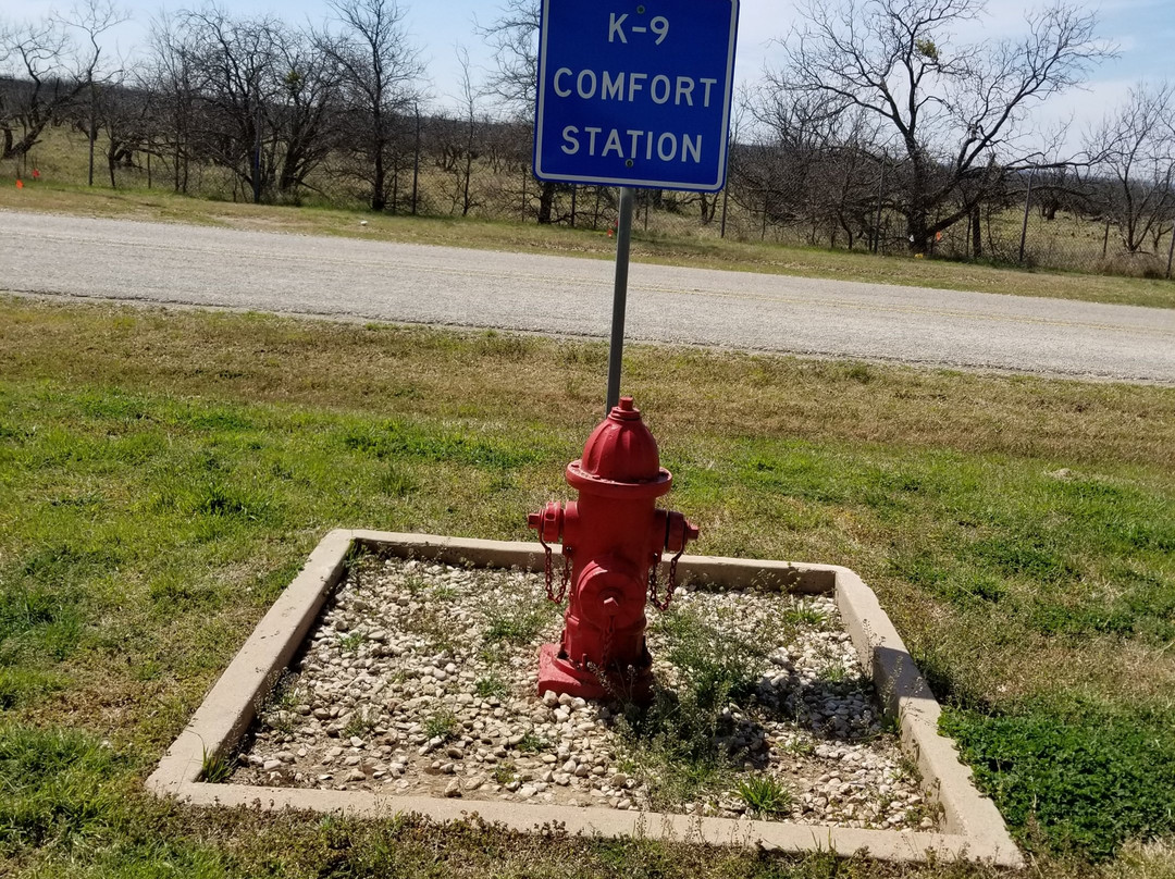 Ranger旅游攻略图片