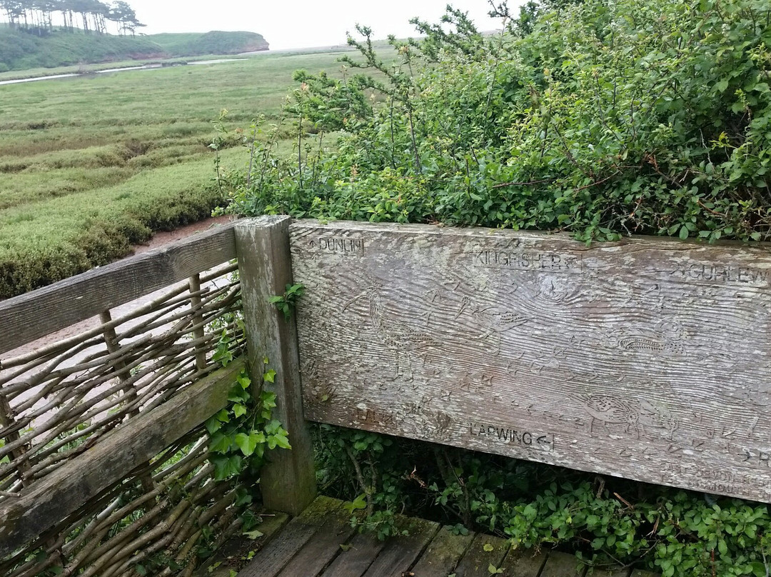 South West Coast Path - Otter Valley Wildlife Walk景点图片