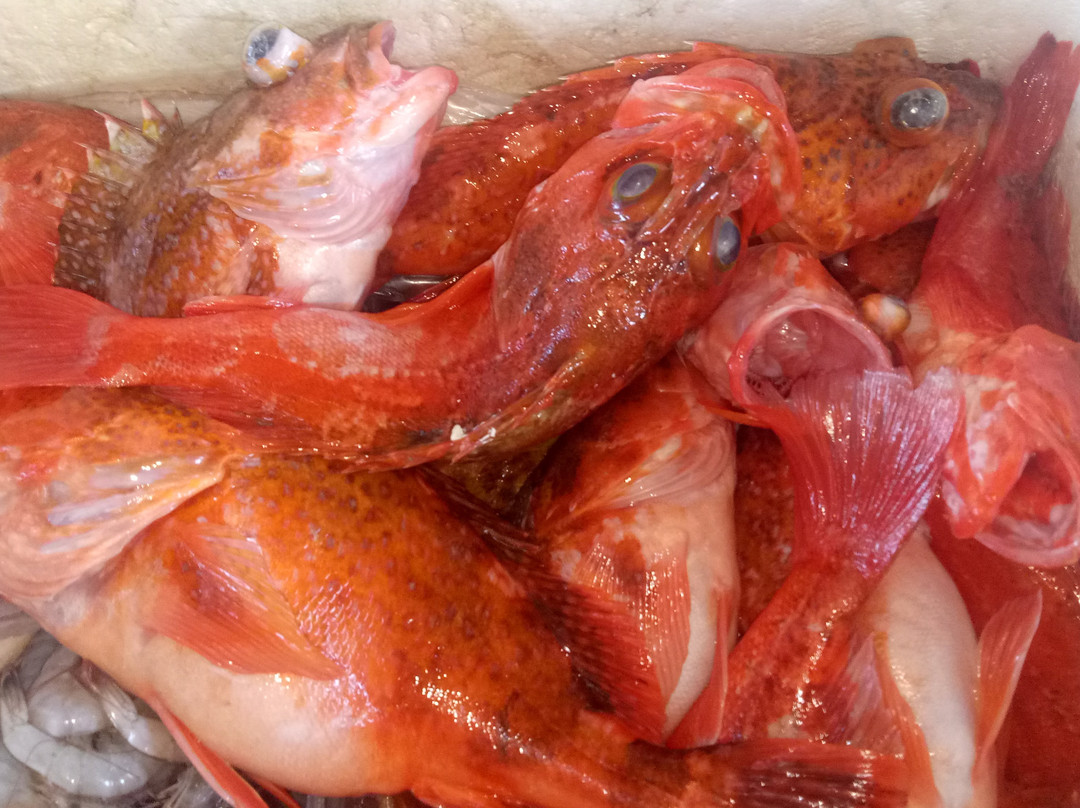 Segara Ayu Beach-沙努尔必去景点