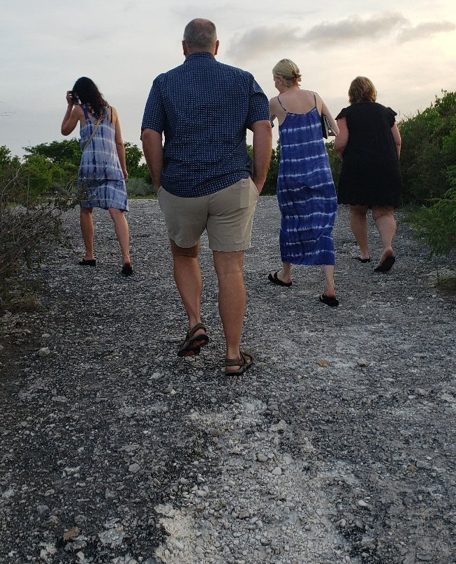 Fortunate World Travelers TCI-普罗维登西亚莱斯必去景点