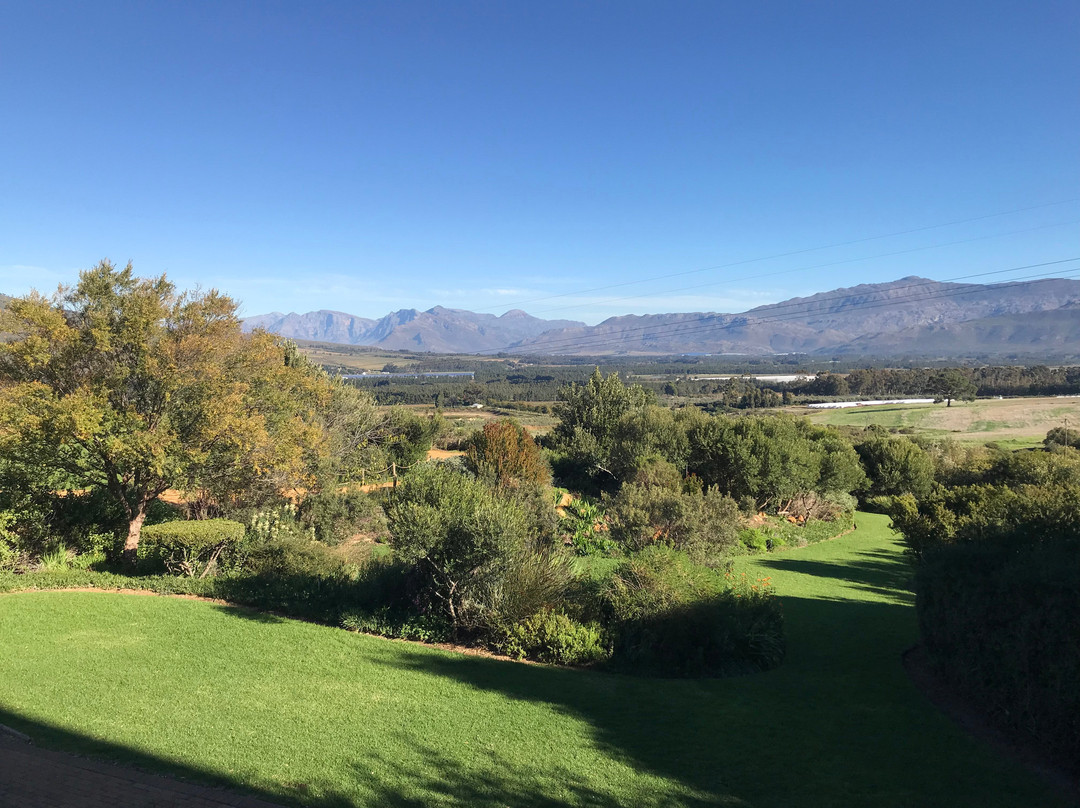 Waverley Hills Organic Wine and Olives景点图片
