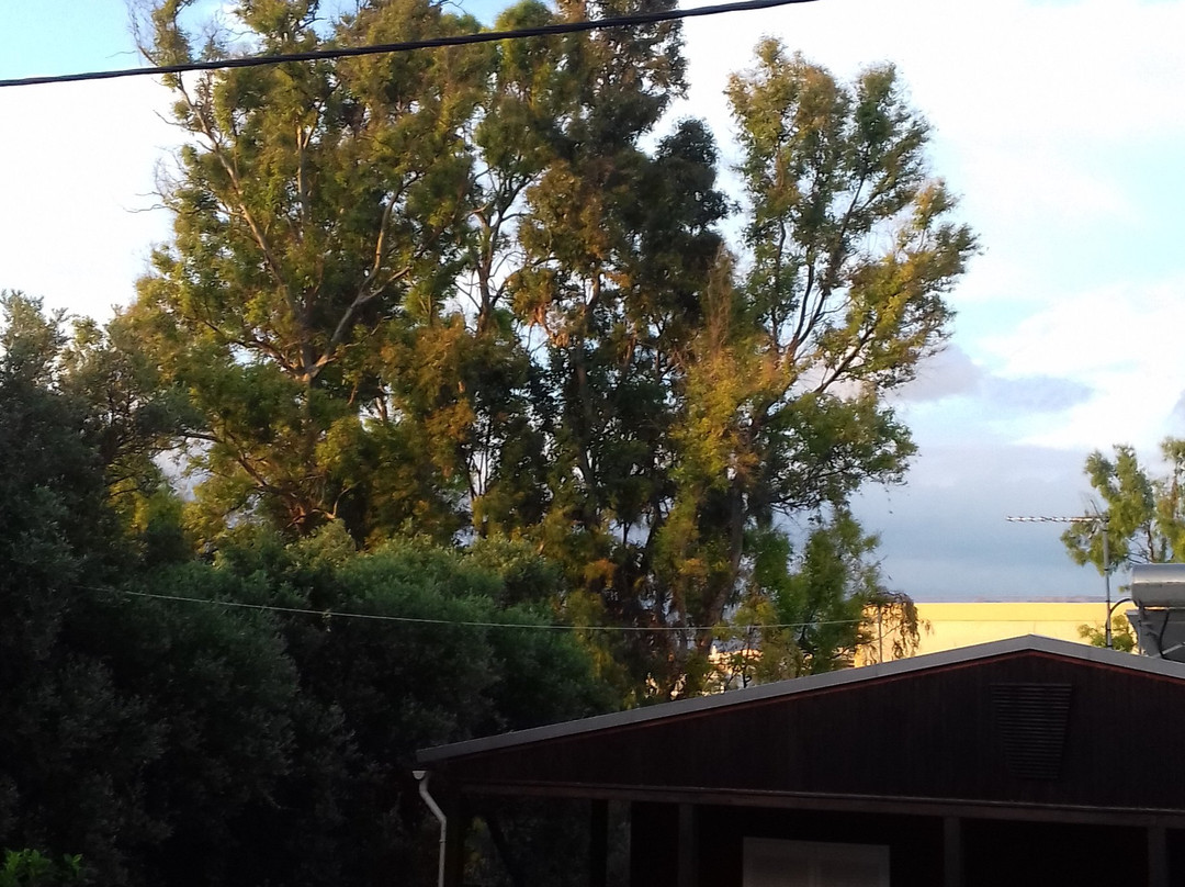 尼瑞尔斯酒店主图