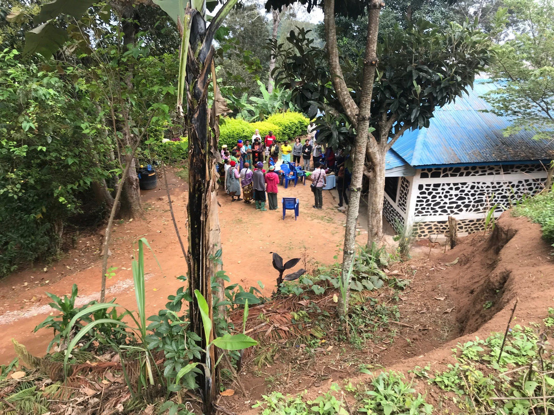 Bibi Hostel