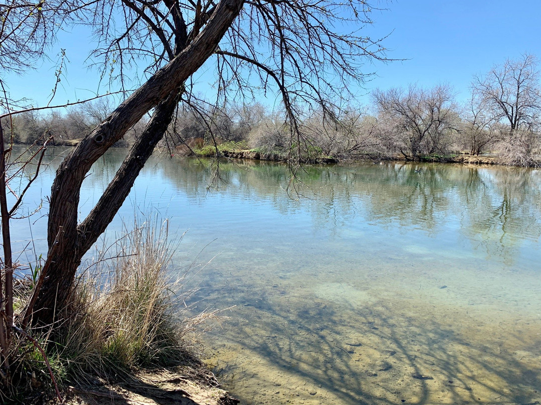 Wilson Springs Ponds景点图片