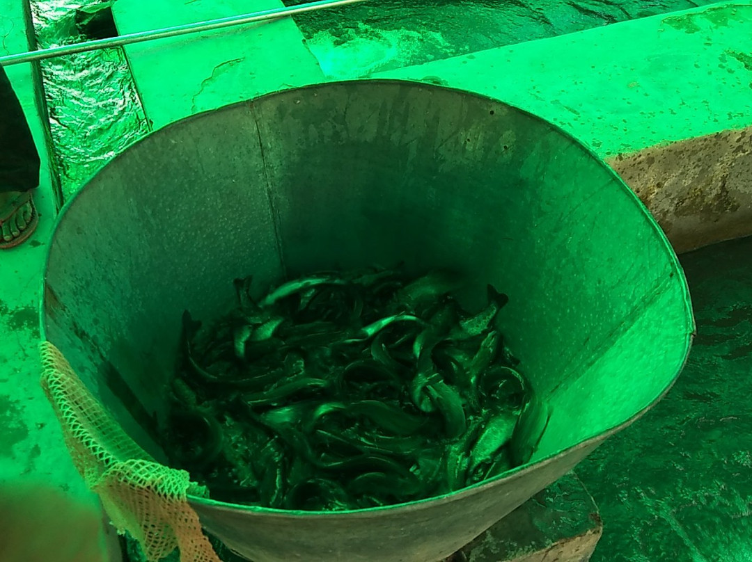 Trout Farm-Sangla必去景点