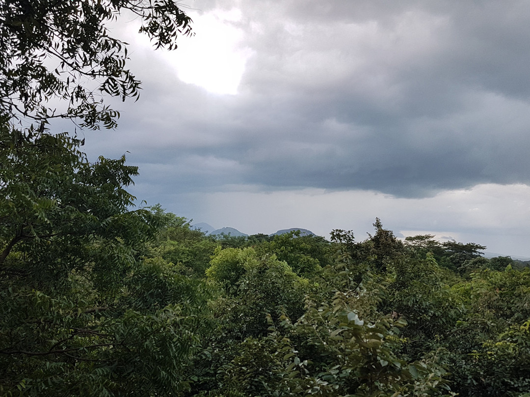 山湖林精品酒店主图