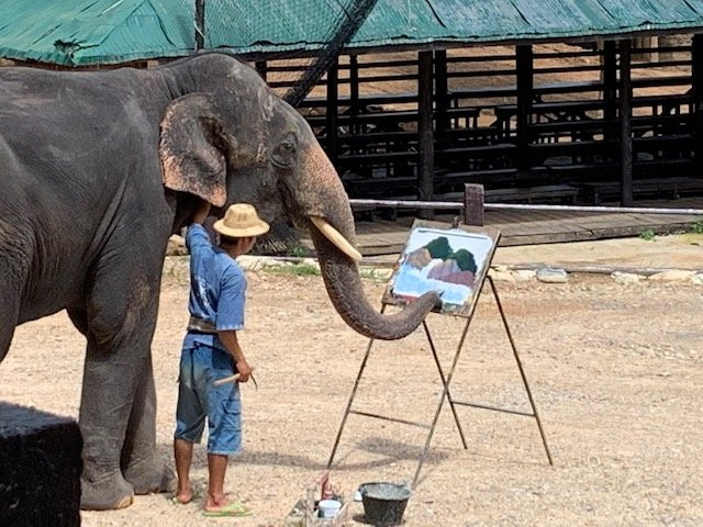 马沙大象营景点图片