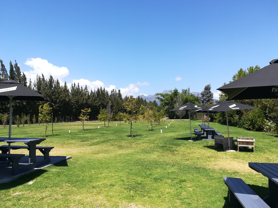 Classic Cats-斯泰伦博斯必去景点