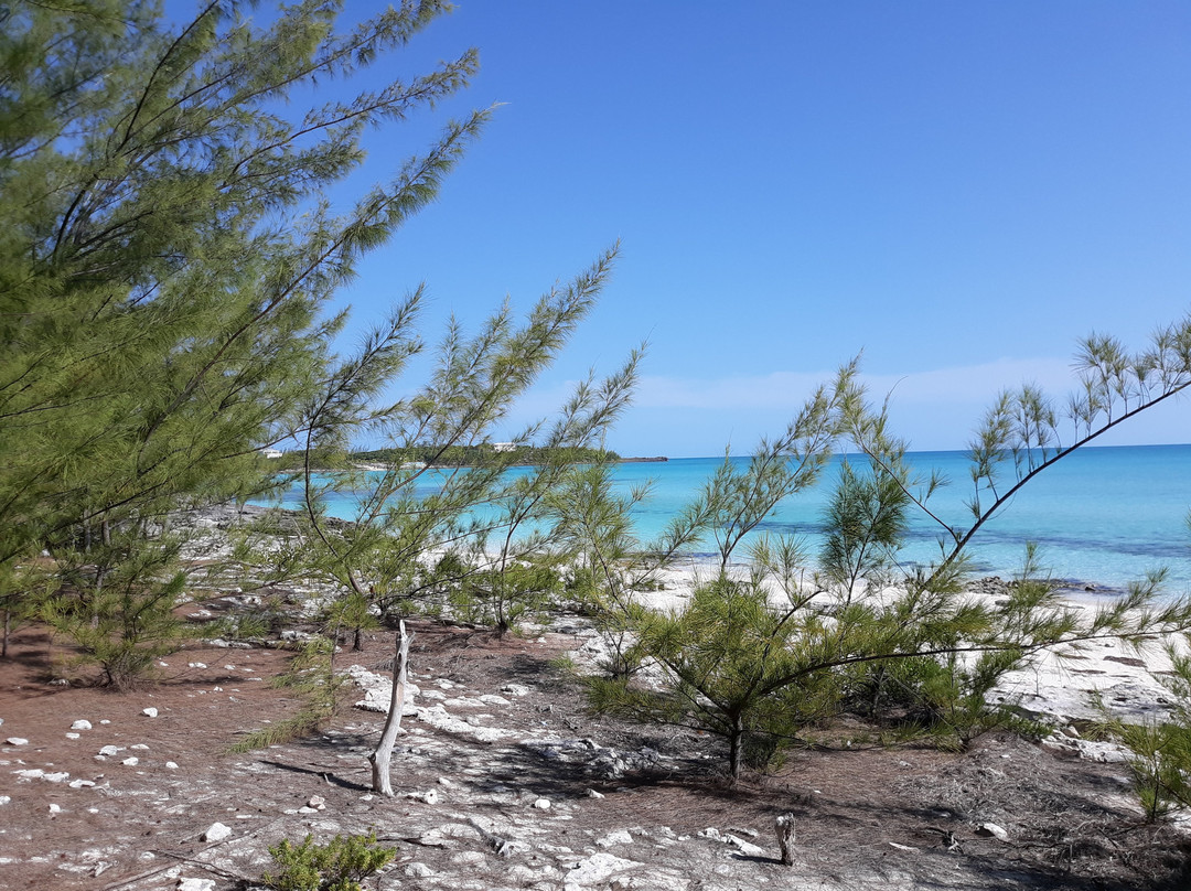 Twin Sisters Beach-Gregory Town必去景点