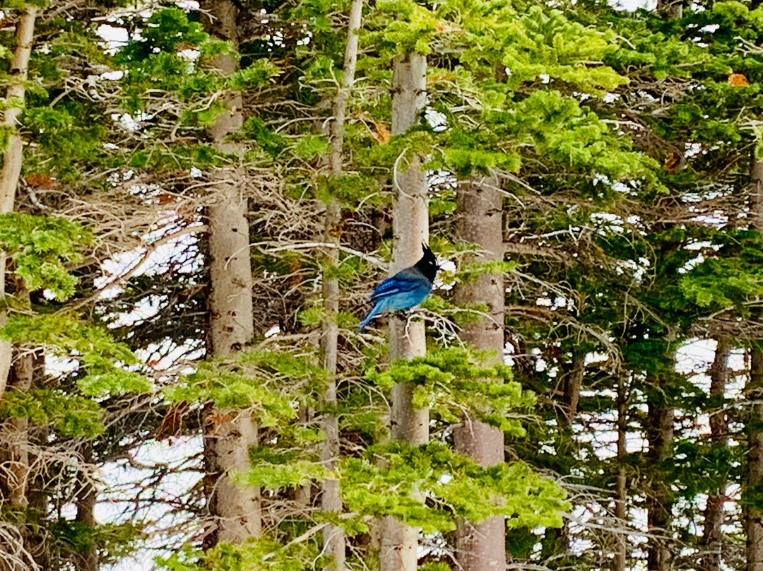 The Loch Trail-落基山国家公园必去景点