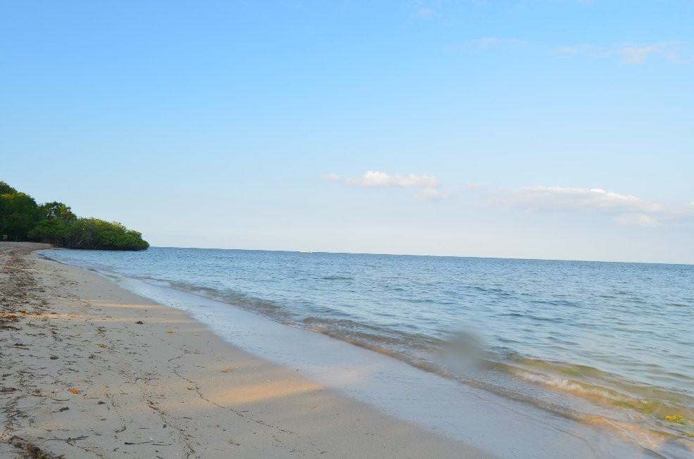Bama Beach-Situbondo必去景点