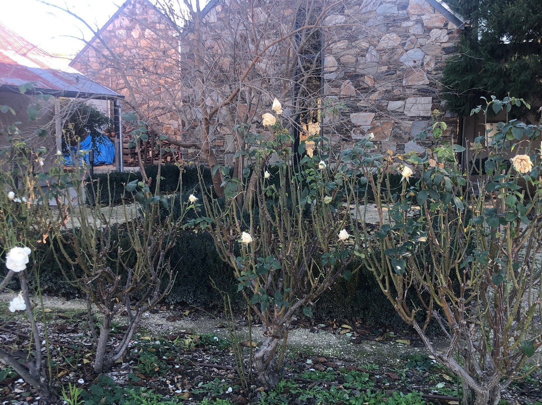 Gundog Cork Street Cellar-Gundaroo必去景点