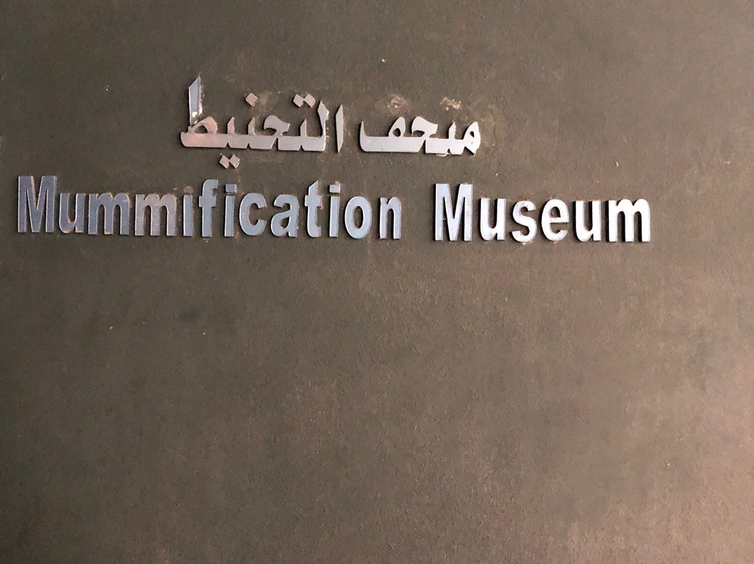 Mummification Museum-卢克索必去景点