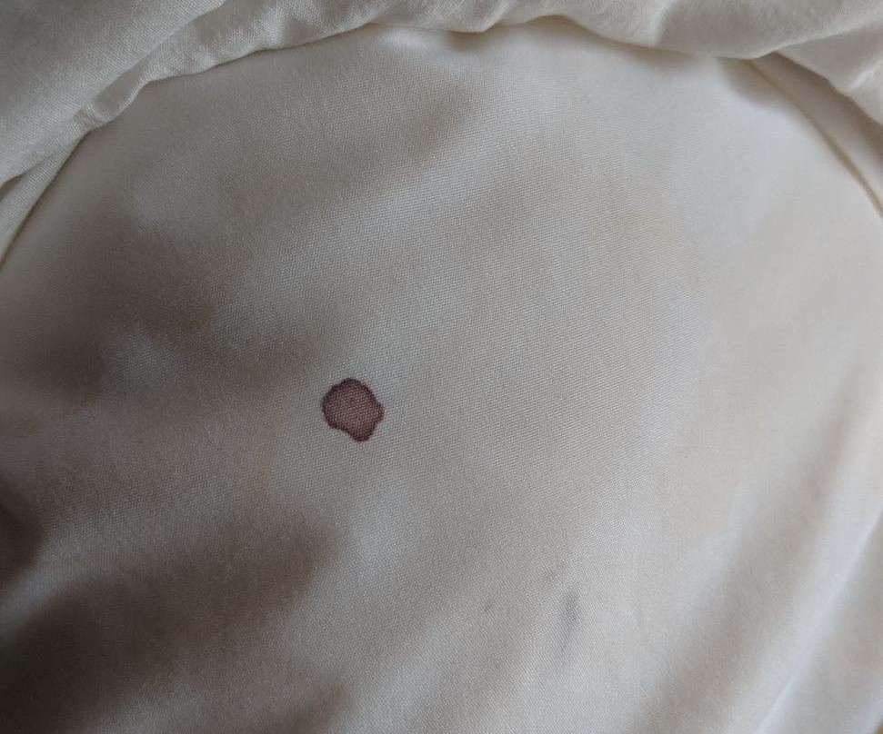 Baymont by Wyndham South Haven主图