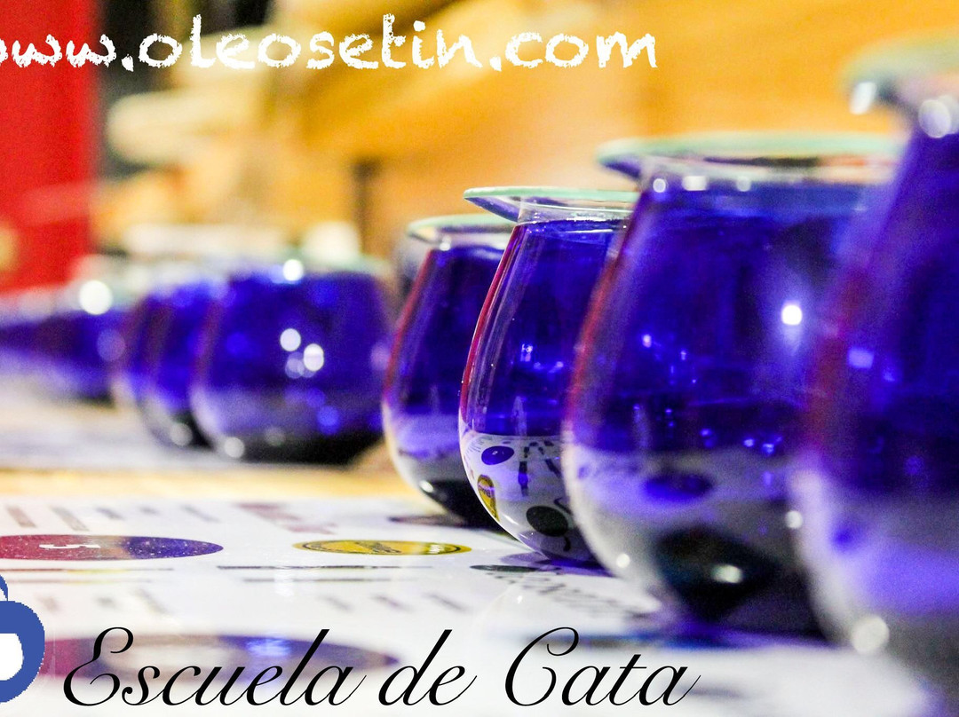 La Botica de Oleosetin-卡塞雷斯必去景点