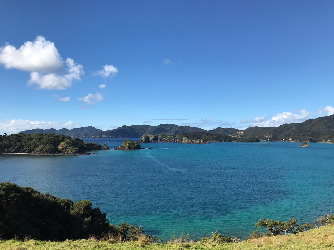 Discover Bay of Islands-派希亚必去景点