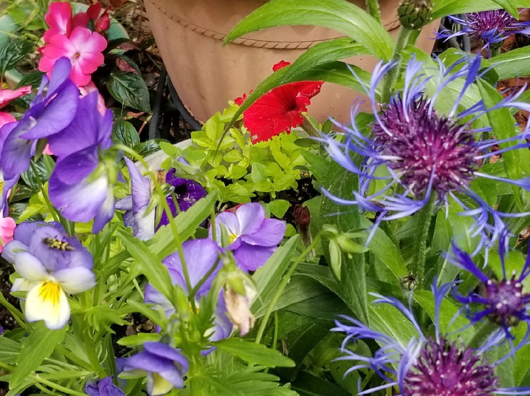 Kountry Living Bed and Breakfast主图